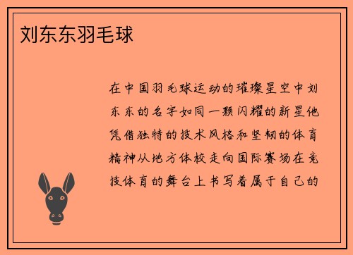 刘东东羽毛球