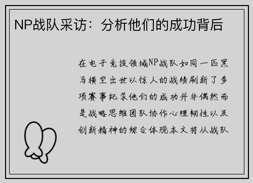 NP战队采访：分析他们的成功背后